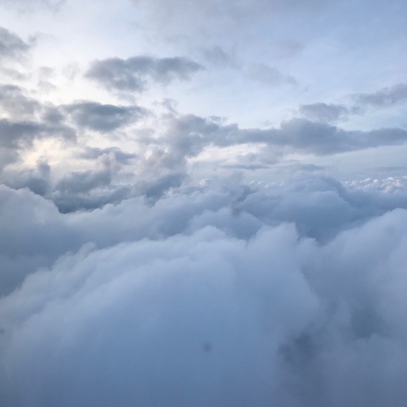 Meet your Posher, Amy - Picture 1 of 1